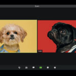 【業界のリアル】動画編集者が増えすぎてる件について。もう飽和してるの？