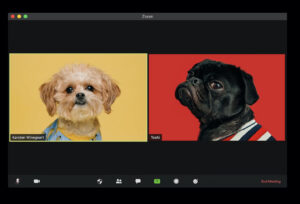 【業界のリアル】動画編集者が増えすぎてる件について。もう飽和してるの？